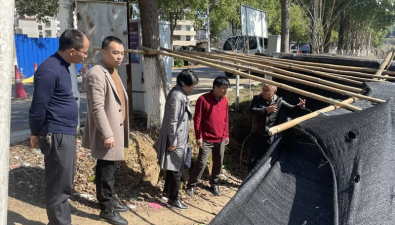 福建省農業農村廳種子總站副站長鄭秀琴一行到象湖鎮調研食用菌產業發展