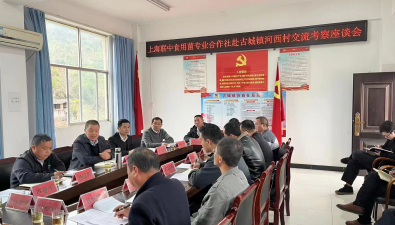 上海聯中食用菌專業合作社到古城鎮考察雙孢蘑菇工廠項目