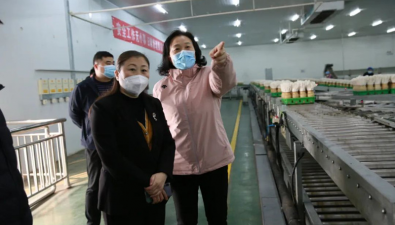 河北省承德市鄉(xiāng)村振興局黨組書記、局長(zhǎng)劉海麗一行赴河北光明九道菇考察調(diào)研