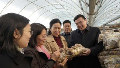 湖北省农业农村厅科教处处长柯凤英一行到随县考察调研食用菌产业发展情况