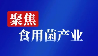 【两会菌业声音①】“两会”上，代表委员如何为食用菌发声？