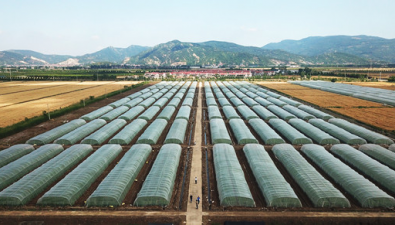 江苏省现代农业产业技术体系连云港（食用菌）推广示范基地挂牌成立