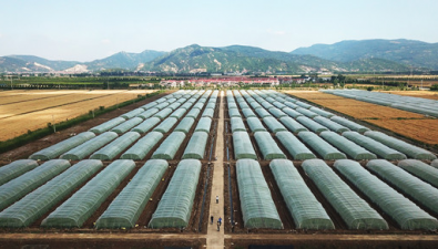 江蘇省現代農業產業技術體系連云港（食用菌）推廣示范基地掛牌成立