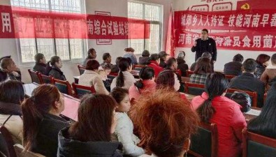 河南省：菌業(yè)專家現(xiàn)場指導(dǎo)“林蠶菌”一體化工程技術(shù)