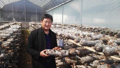 王立安：20多年苦研食用菌“金種子”，鼓起農(nóng)民“錢袋子”