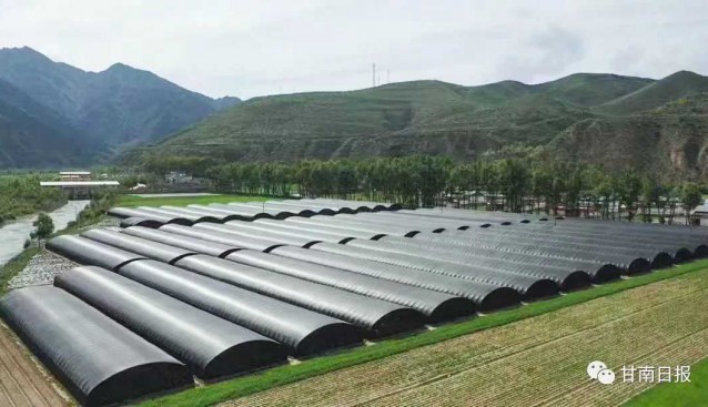 甘肃临潭县：大力实施食用菌标准化种植基地建设项目