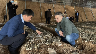 国家食用菌产业技术体系执行专家组到山东肥城市王庄镇开展羊肚菌种植技术指导工作