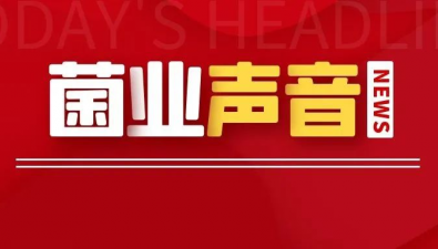 【兩會菌業聲音④】設立國家菌草技術創新中心，提升國際競爭力