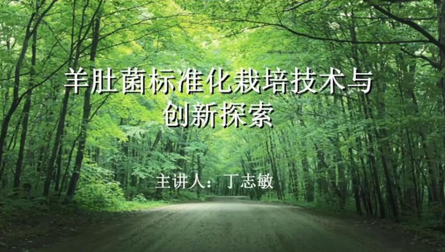 羊肚菌标准化生产加工技术创新及高产案例分享-丁志敏老师