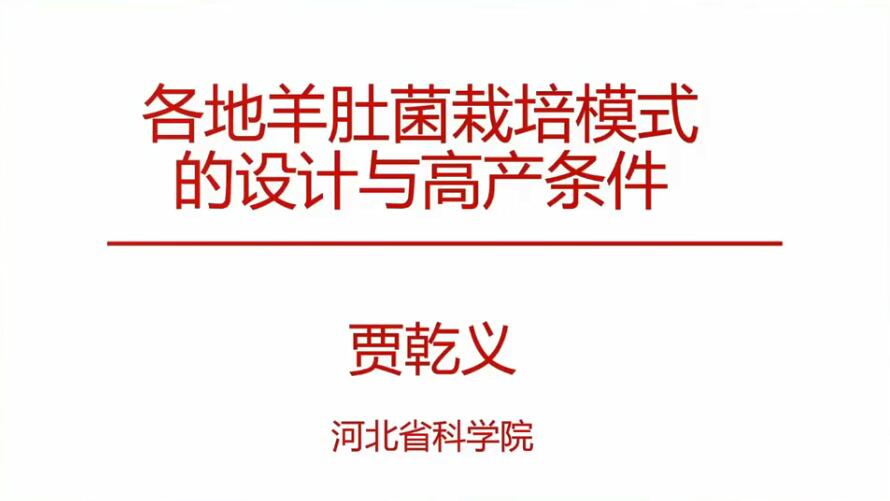 各地羊肚菌栽培模式的设计与高产条件-贾乾义老师