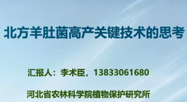 北方羊肚菌高产栽培技术-李术臣老师