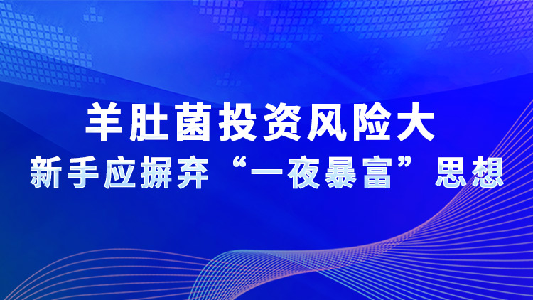 羊肚菌投资风险大  新手应摒弃“一夜暴富”思想