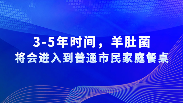 3-5年时间，羊肚菌将会进入到普通市民家庭餐桌