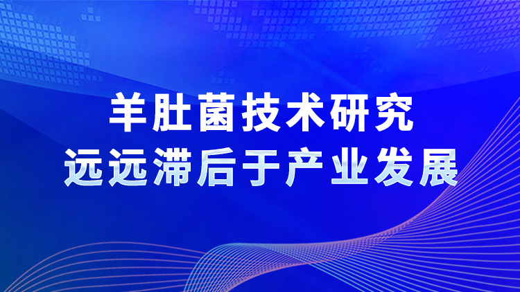 羊肚菌技术研究远远滞后于产业发展