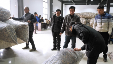 湖北：江北香菇交易市場(chǎng)開(kāi)市交易忙