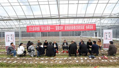 浙江庆元：“菌粮复种”新模式，专业人士出实招