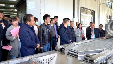 陕西省科技特派团赴西乡县调研食用菌产业发展工作