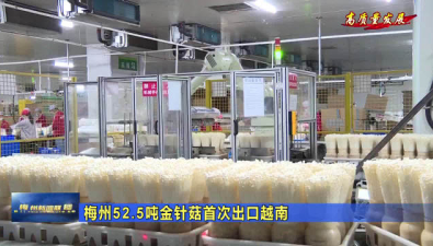 广东：梅州52.5吨金针菇首次出口越南