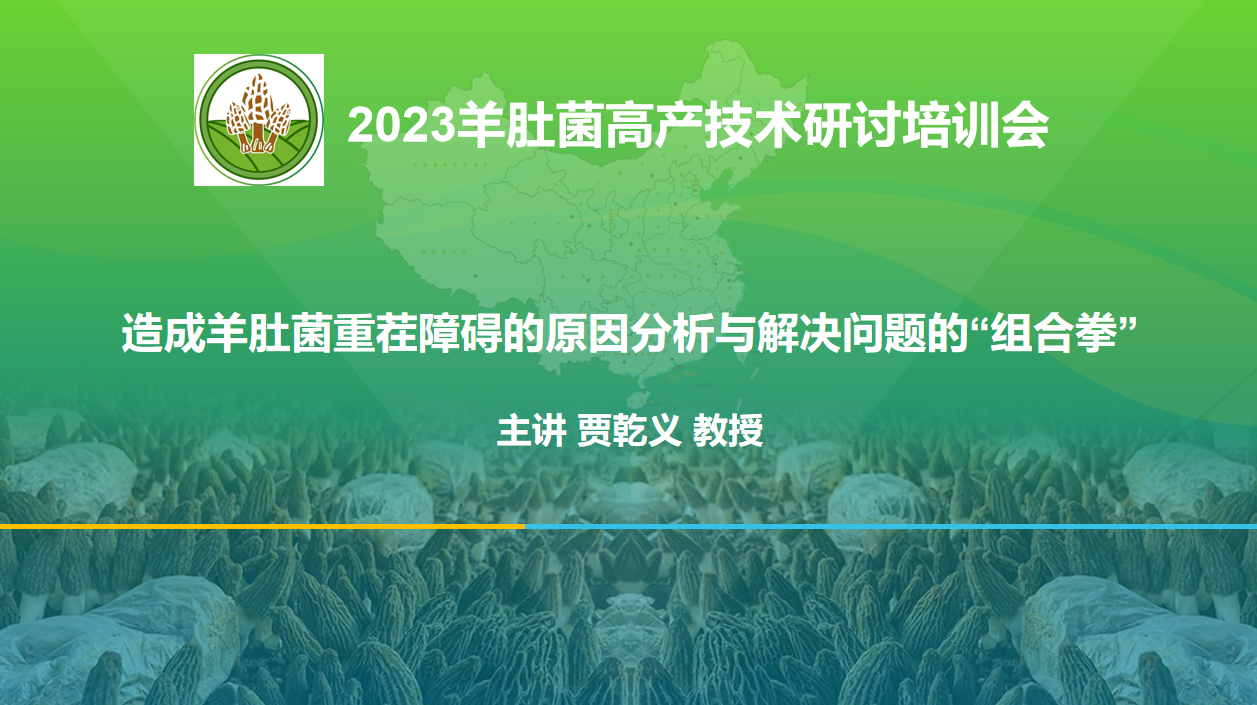 重茬障碍的原因分析与解决问题的组合拳