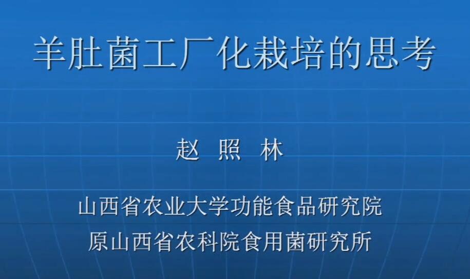 赵照林：羊肚菌工厂化栽培的思考