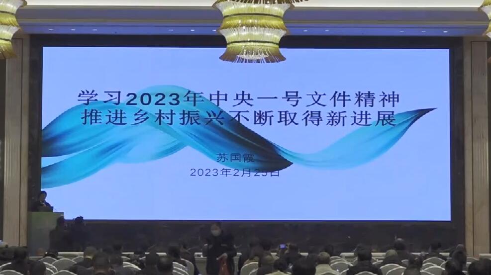 苏国霞：学习2023年中央一号文件精神推进乡村振兴不断取得新进展