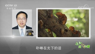 李长田教授：揭开鲜食木耳的秘密