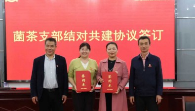 福建農林大學：菌茶支部共建，促食用菌和茶產業融合發展