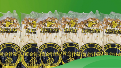 萬辰生物：正式推出新品黃金針菇