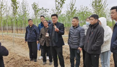 河南開封龍亭區：珍稀食用菌產業成果推進會召開