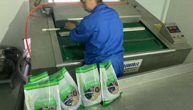 湖北房縣：2家新招引食用菌加工企業(yè)正式投產(chǎn)
