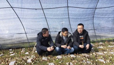 唐昭繼：政協(xié)委員帶動(dòng)群眾發(fā)展食用菌致富