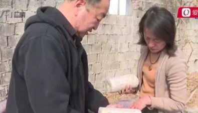 “土专家”夫妻：十年磨砺，打造食用菌全产业链示范基地