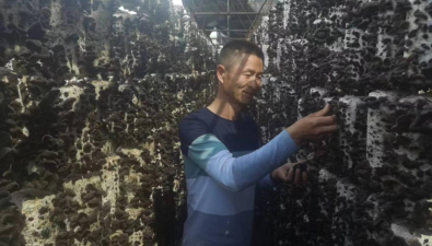 黑龍江穆棱市下城子鎮：木耳扎下“根”，“長”出億元村