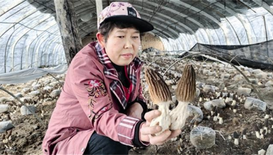 河南三門峽：陜州區特色產業促農增收
