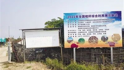 云南保山：秸秆“五化”利用，可生产新鲜平菇156吨