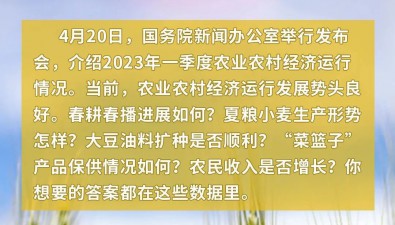 今年一季度農(nóng)業(yè)農(nóng)村經(jīng)濟(jì)運(yùn)行情況如何？一圖讀懂