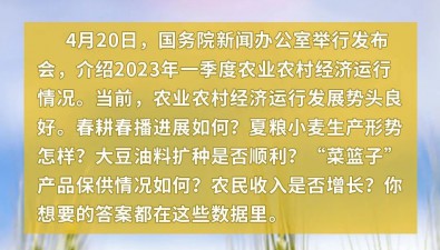 今年一季度农业农村经济运行情况如何？一图读懂