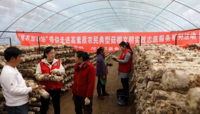 河北平泉：食用菌產業技術研究院開展教育培訓
