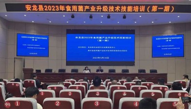 貴州安龍縣：開展食用菌產業升級技術技能培訓