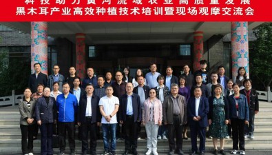 山東東平縣：組織黑木耳高效種植技術培訓會