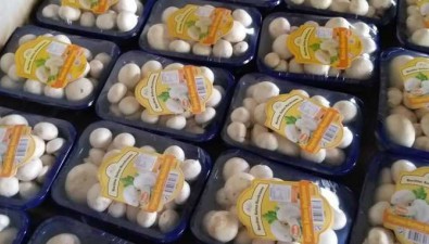 波兰：双孢菇产品畅销欧洲市场