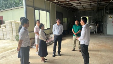 海南省科協(xié)調(diào)研儋州食用菌科技小院