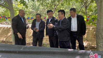 北京昌平：2022年栽培食用菌500余萬(wàn)棒，產(chǎn)值超3000萬(wàn)元