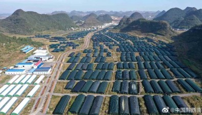 富民鑫食用菌公司：計劃生產菌棒350萬棒，新增一個出菇基地