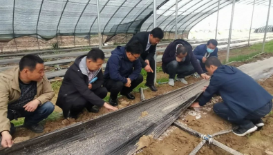 甘肃临夏州农科院深入食用菌种植企业（合作社），提供精准服务