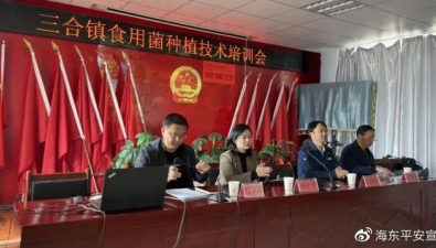 青海海东：三合镇组织大球盖菇技术培训