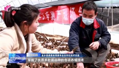 周晴晴：“珍稀品種+全鏈條服務(wù)+技術(shù)專利”發(fā)展食用菌產(chǎn)業(yè)
