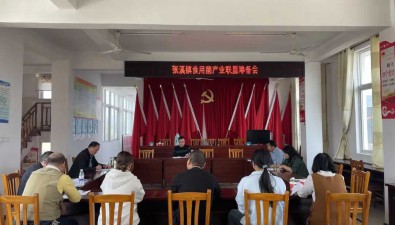 安徽東至縣：張溪鎮將建立食用菌產業聯盟