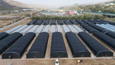 甘肅莊浪縣：食用菌產業園項目將建成
