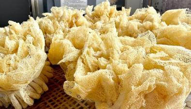 福建永泰：2022年三季度食用菌鲜品产量1.1万吨